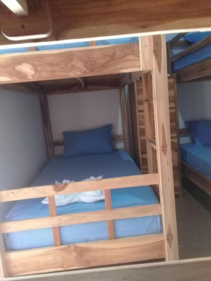 Turtle Island Homestay Sanur Eksteriør billede