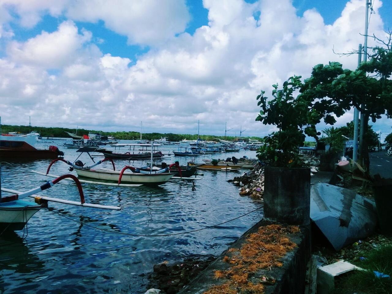 Turtle Island Homestay Sanur Eksteriør billede